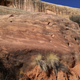 Illustration for article titled Desert Love